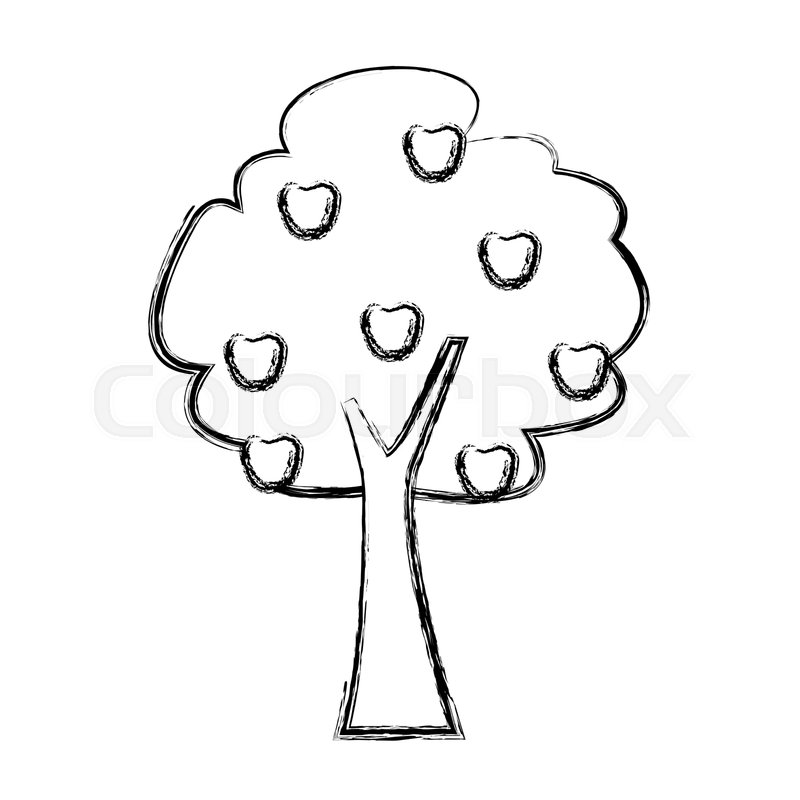 800x800 Tree Fruit Forest Foliage Natural Stock Vector Colourbox