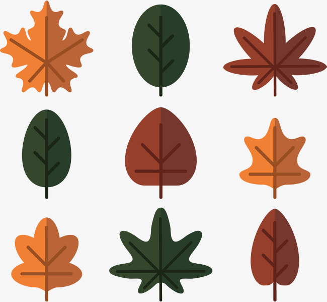 650x599 Vector Hand Painted Foliage Template, Leaf, Vector Diagram, Hand