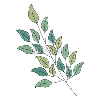 Foliage Drawing | Free download on ClipArtMag