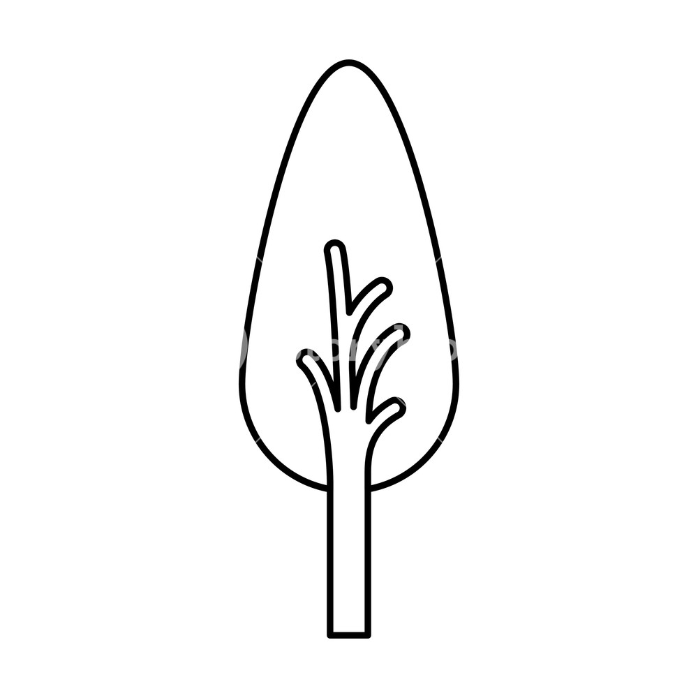 1000x1000 Monochrome Silhouette Of Abstract Tree With Foliage In Shape Oval