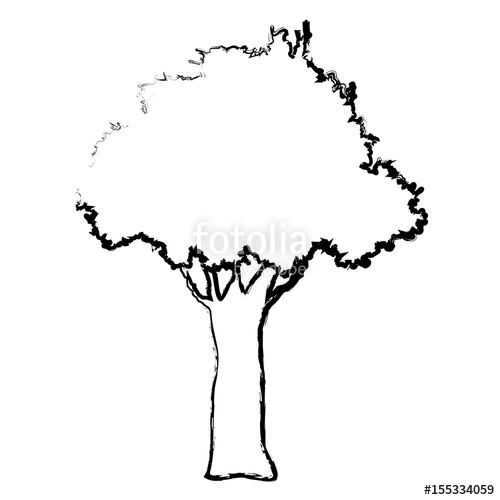 500x500 Natural Tree Foliage Branch Trunk Sketch Vector Illustration