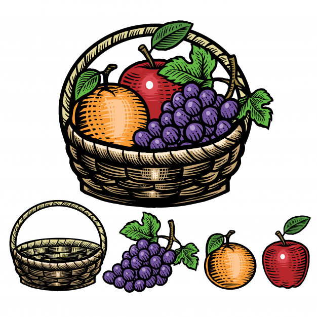 626x626 Hand Drawing Style Of Fruit In The Basket Vector Premium Download