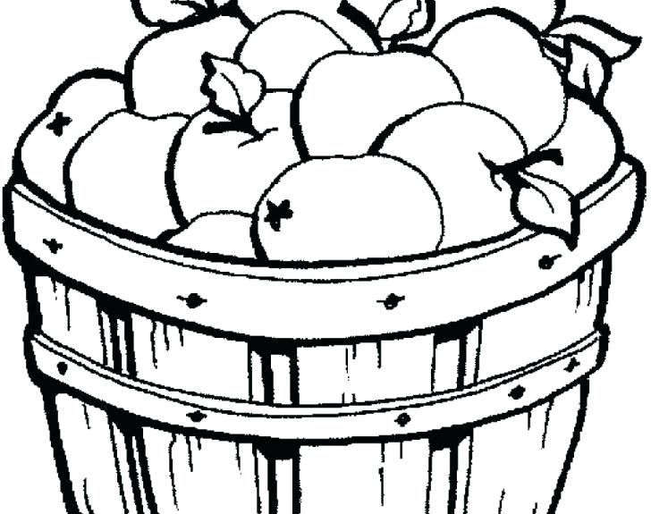 728x575 Picnic Basket Coloring