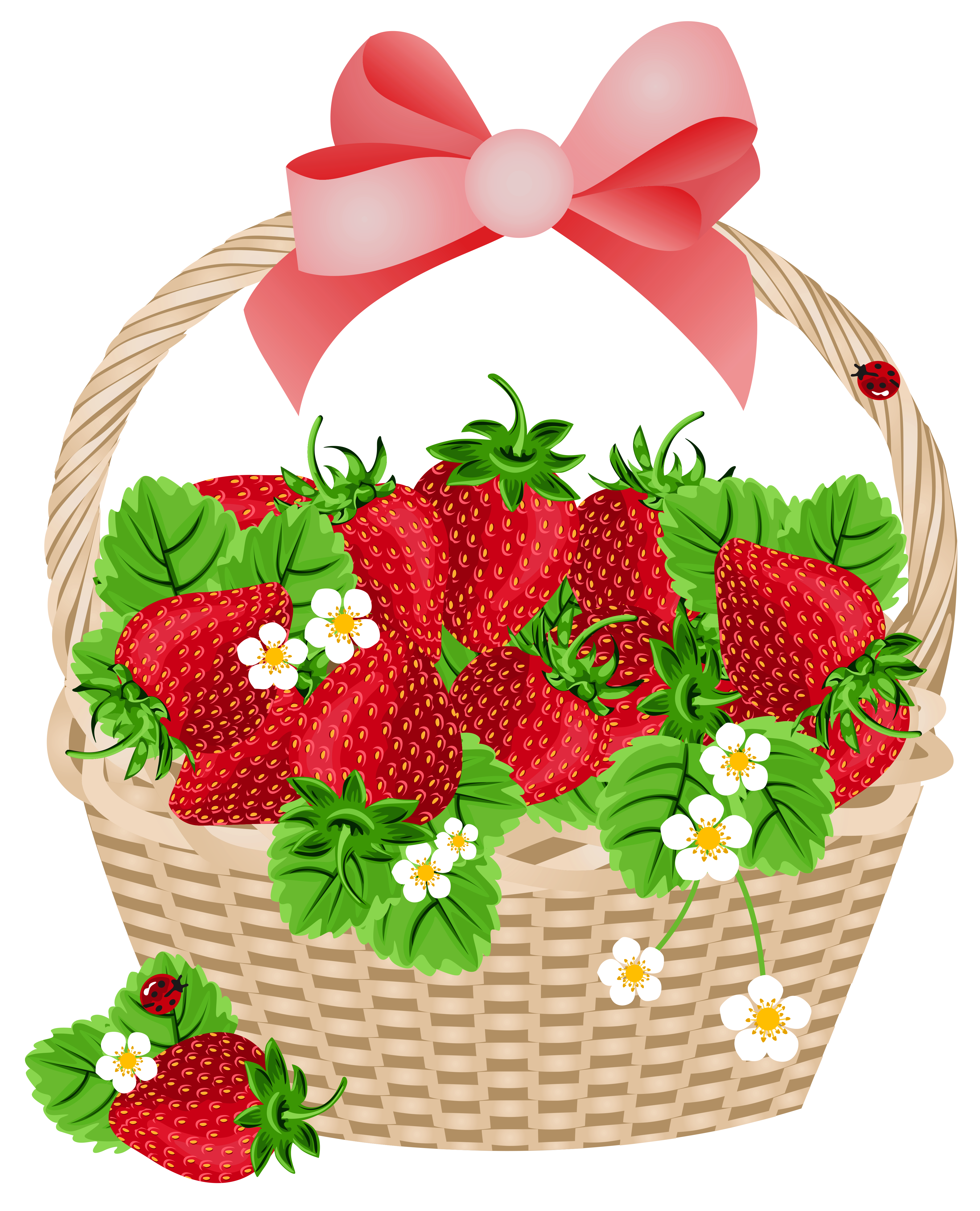 4158x5138 Collection Of Free Basket Drawing Strawberry Download On Ui Ex