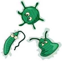 219x214 Food Chain Sea Turtles And The Quest To Nest Waterlife