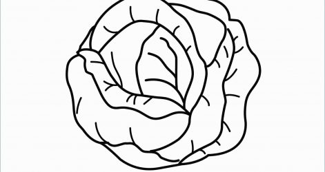 471x250 Pages Of Chicken Food Color Chain Printable Healthy Cartoon Book