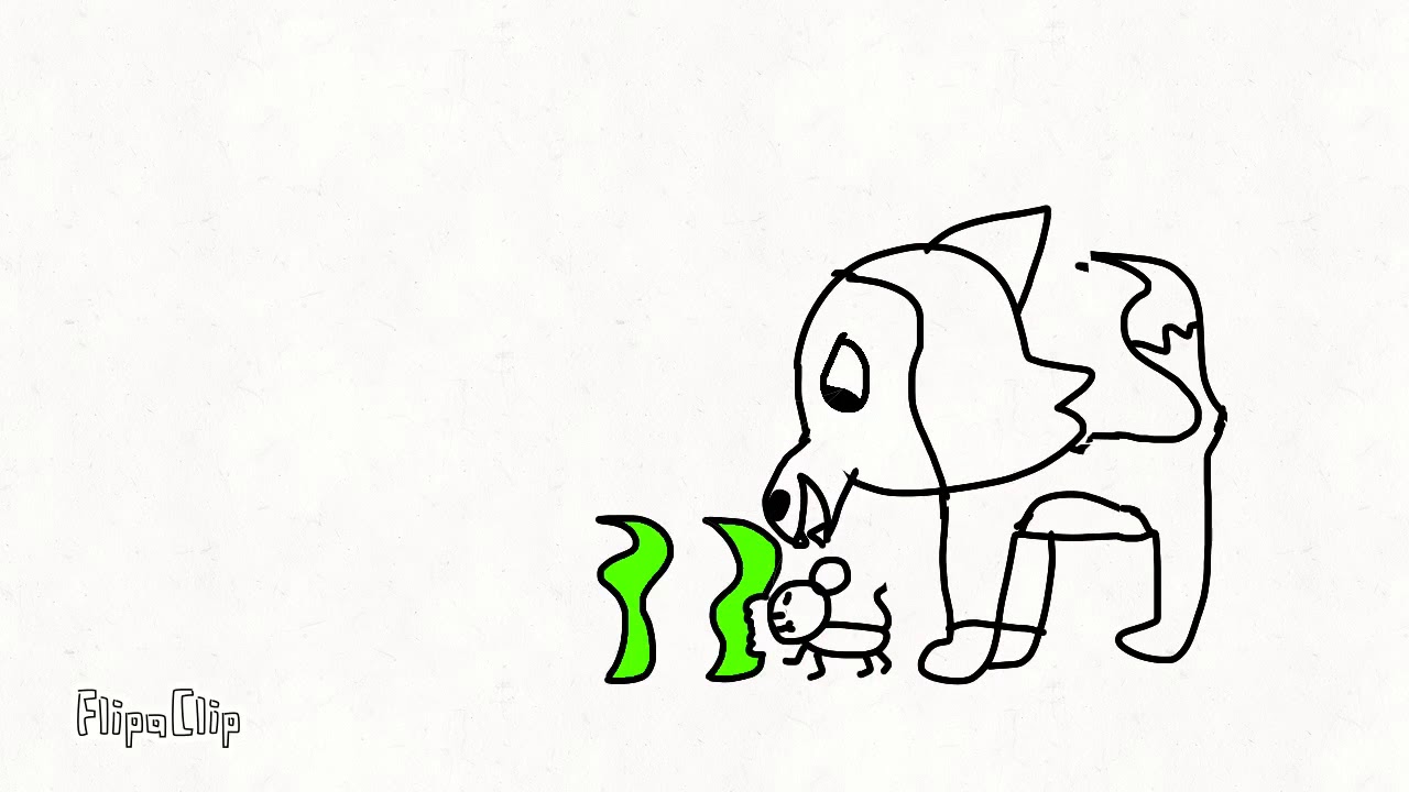 1280x720 the food chain in seconds