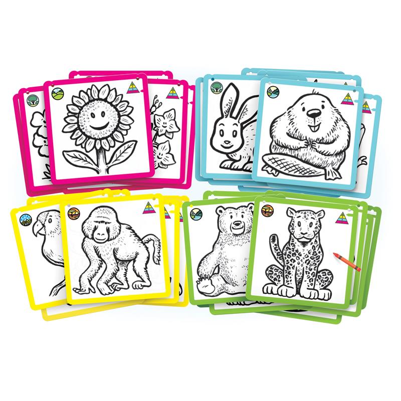 800x800 Who Eats Who Food Chains