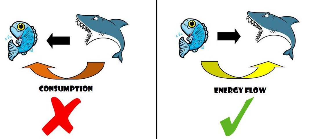 1100x481 Day Food Chains