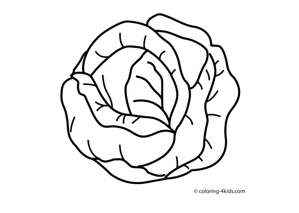 1024x730 Healthy Eating Coloring Pages For Preschool Plate