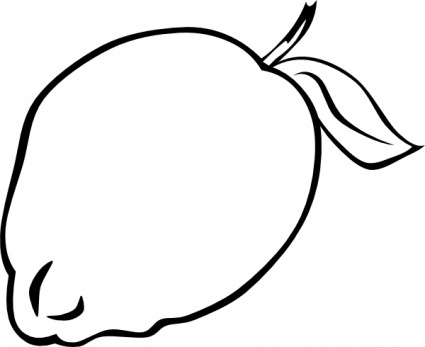 425x347 Food Web Vakanzi Clipart