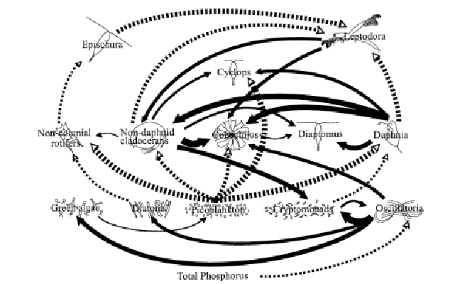 648x400 Food Web Interactions Suggested