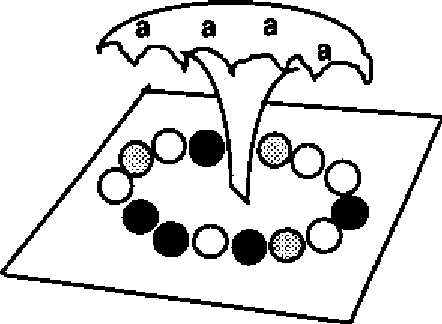 442x324 modelling food web complexity the consequences of individual