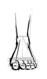 182x306 how to draw feet front view the sole not particularly