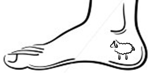 509x266 Tattoo For Inside Of Right Foot Outline Of Sheep For My Time