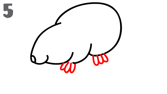 642x363 How To Draw A Mouse