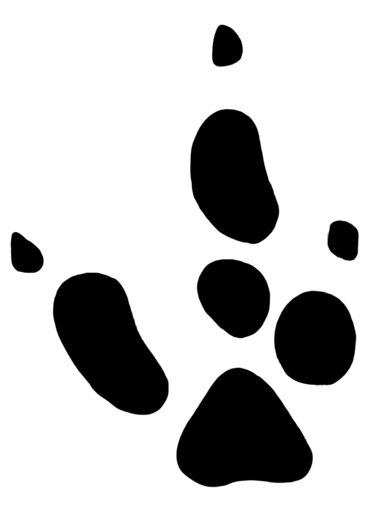 761x1063 Collection Of Free Footprint Drawing Paw Download On Ui Ex