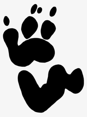 300x402 footprints png, free hd footprints transparent image