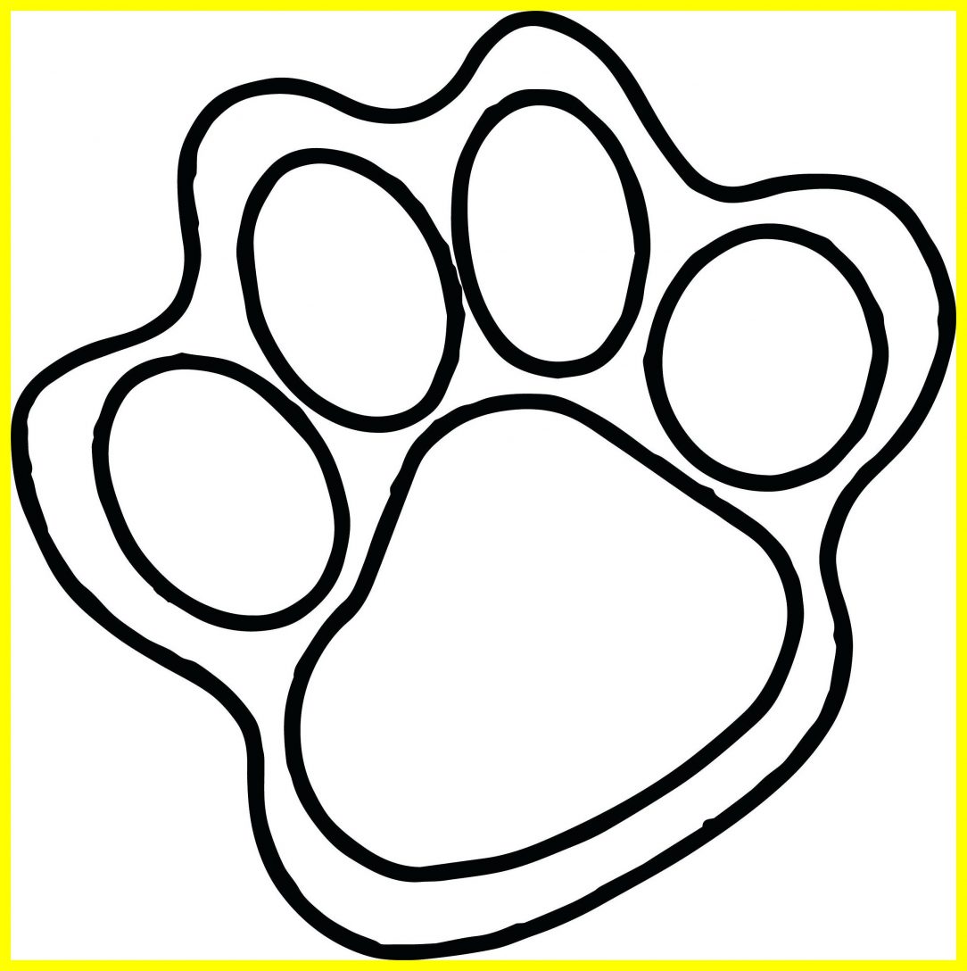 1084x1088 Cat Footprint Drawing Paw Pad Tutorial A Print Easy Carmi Chaelinn