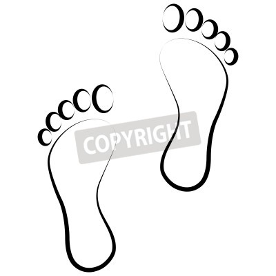 400x400 Ferreiraview Art Director Photographer