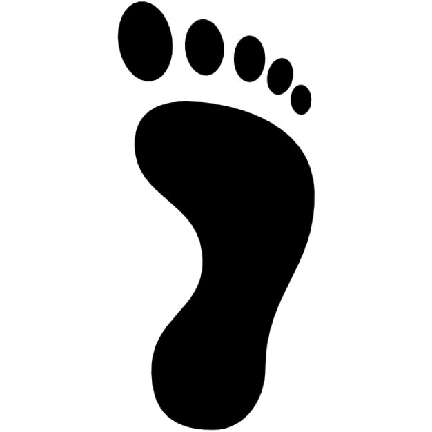 626x626 Footprint Vectors, Photos And Free Download
