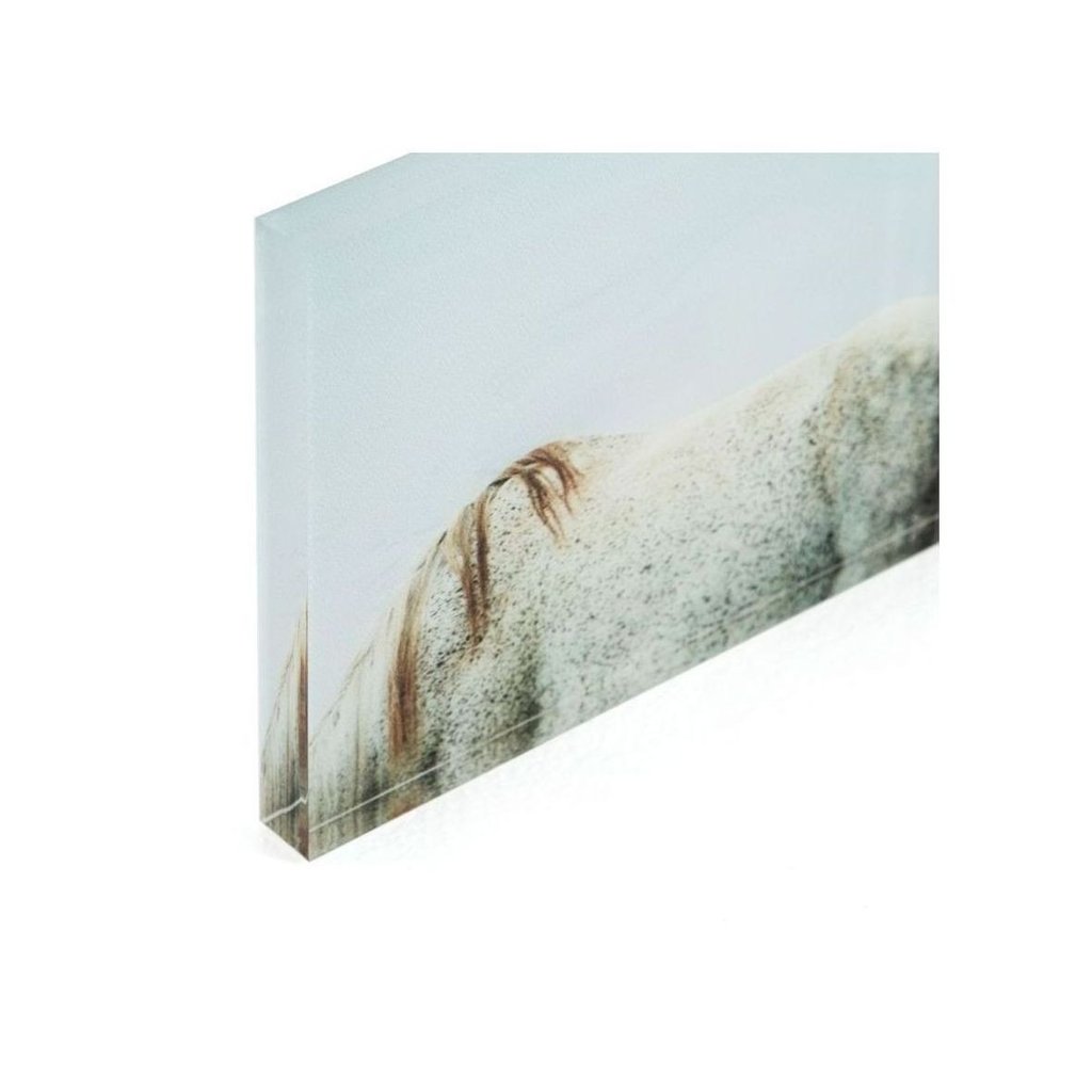 1024x1024 loft collection