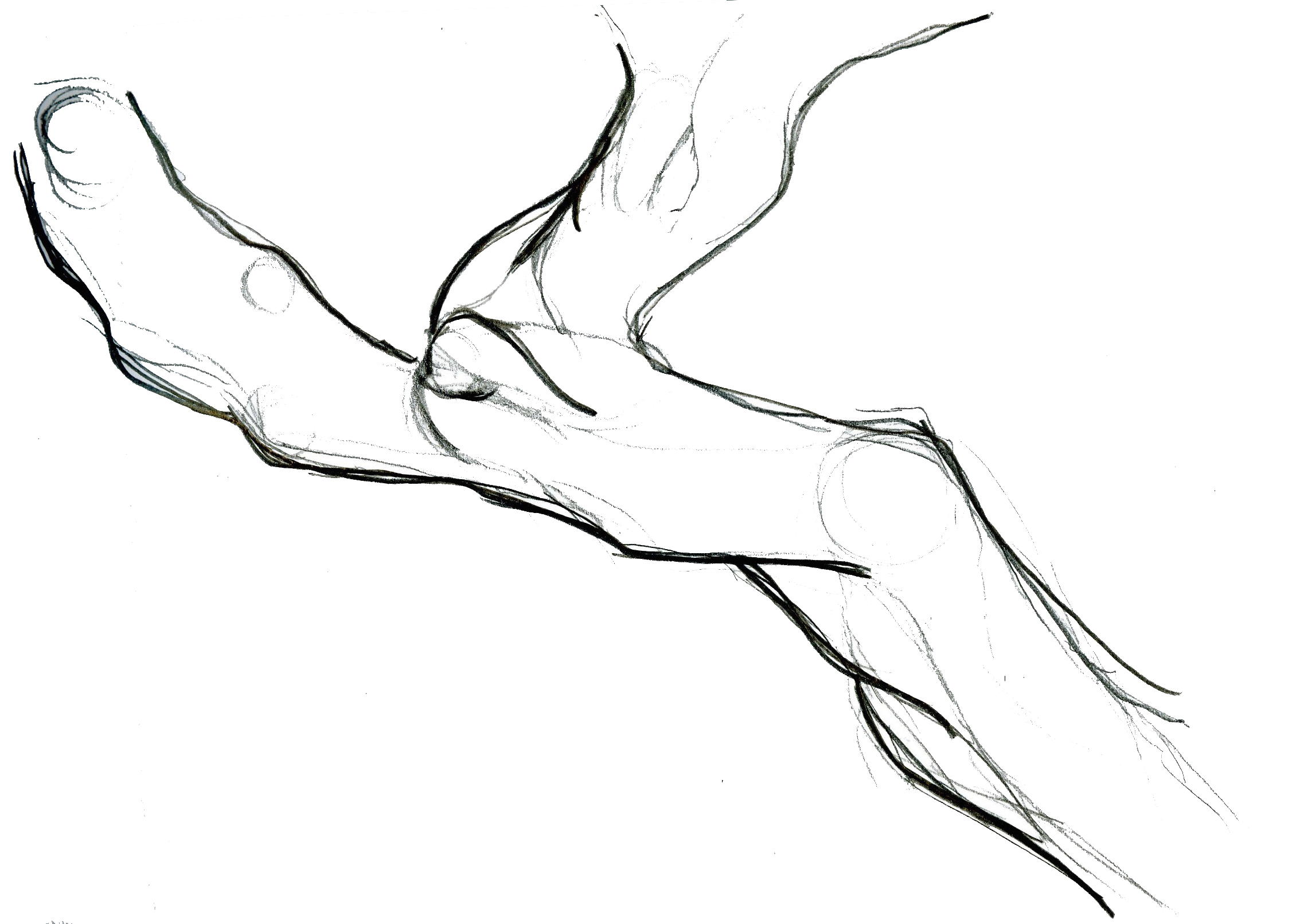 2260x1612 sketches the pedestrian perspective