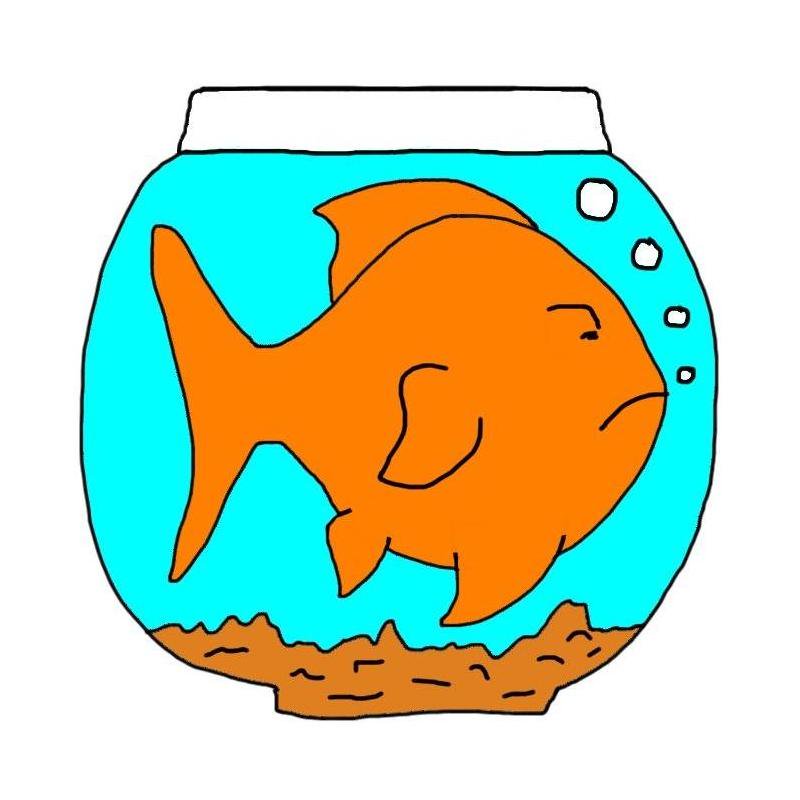 800x800 Collection Of Free Barbing Clipart Goldfish Download On Ui Ex