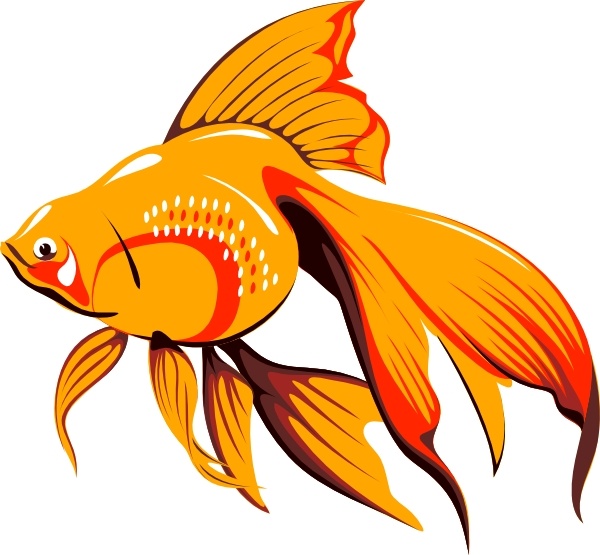 600x555 Collection Of Free Fishes Clipart Goldfish Download On Ui Ex