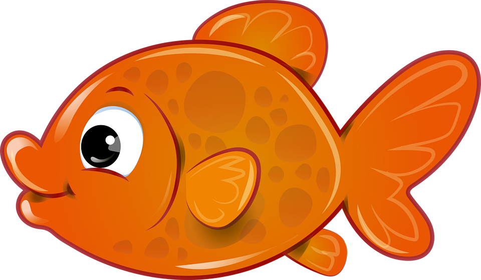 960x559 Cliparts For Free Download Goldfish Clipart Golden Fish