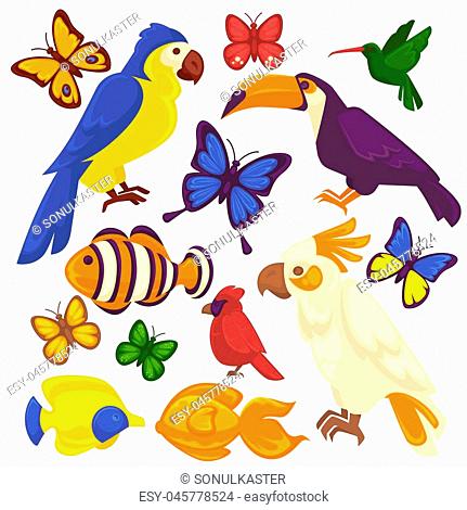431x470 Hummingbird Icon Vector Illustration Stock Photos And Images Age