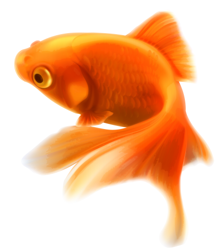 432x500 Png Fish Clipart, Fish, Transparent Fish