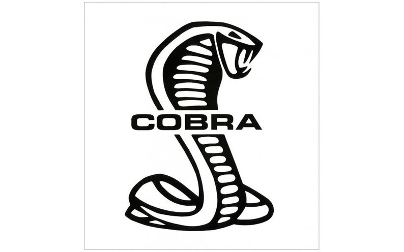 794x496 Ford Cobra Wrote Shelby Mustang Gt Vinyl Decal Window Sticker Etsy
