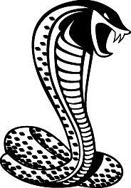 184x264 Cobra Mustang Cobra Fun Pics Images