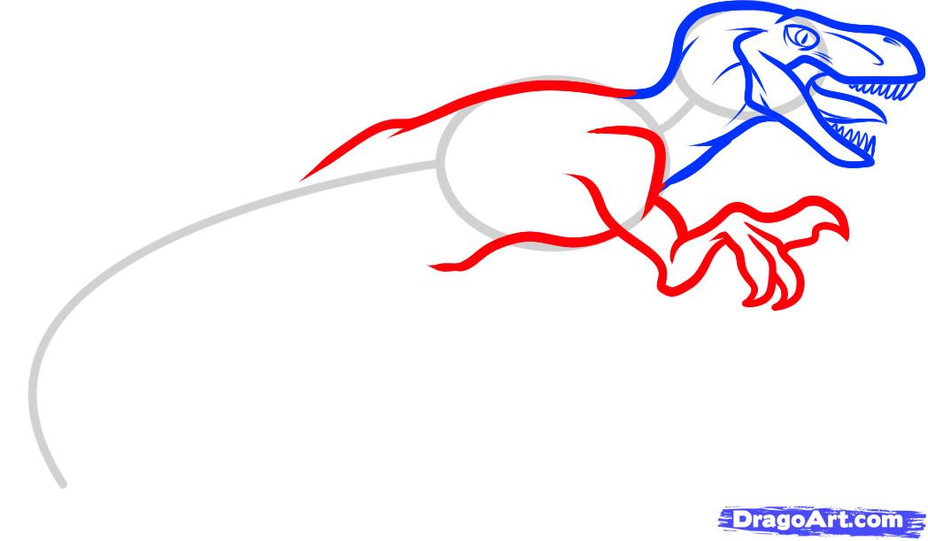 1048x611 draw a velociraptor dinosaur, step