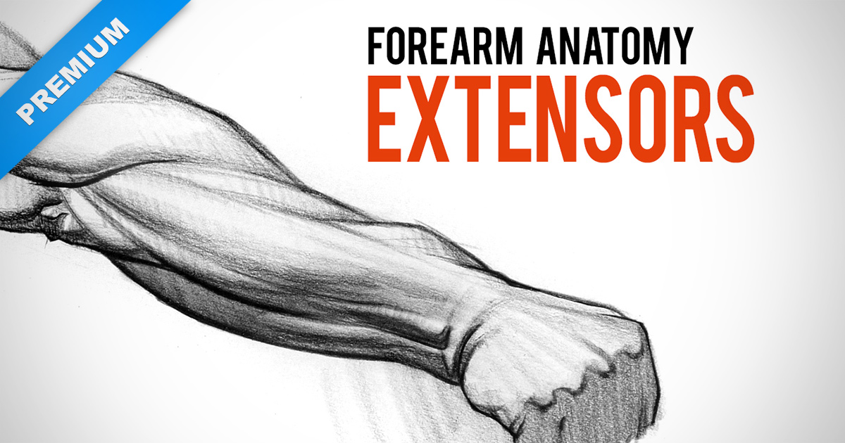 Forearm Drawing | Free download on ClipArtMag