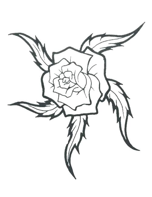 501x649 Roses Tattoo Outline Black Outline Roses Tattoo On Right Forearm