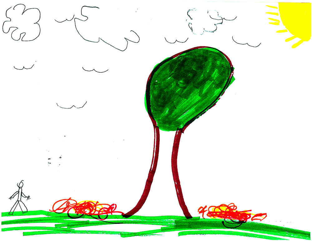 1000x773 Thursday's Weather Forecast Partly Sunny, Warming To State