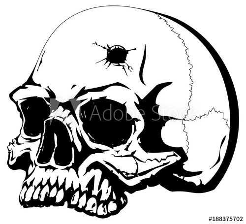500x455 human skull with a bullet hole on the forehead