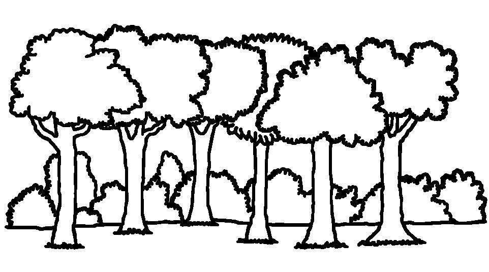 962x535 Forest Drawing Cliparts