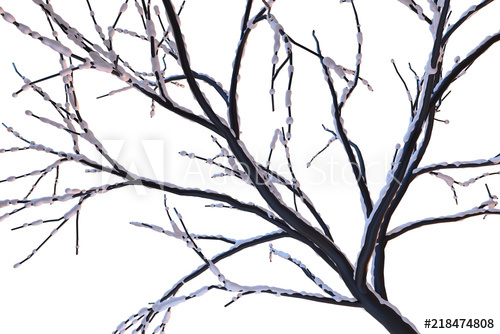 500x334 Frozen Tree Branches Covered With Snow On White Background Forest