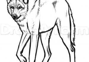 300x210 How How To Draw A Forest With Animals To Draw