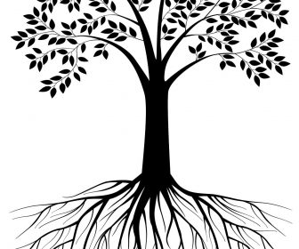 336x280 Black And White Trees Pictures Tag Black And White Trees