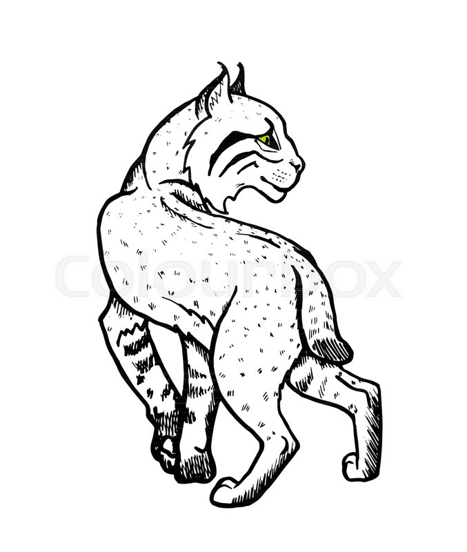 677x800 Forest Lynx, Graphic Black And White Stock Vector Colourbox