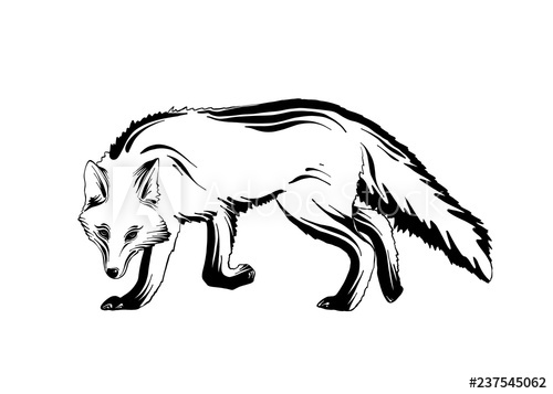 500x357 Vector Engraved Style Illustration For Posters, Decoration