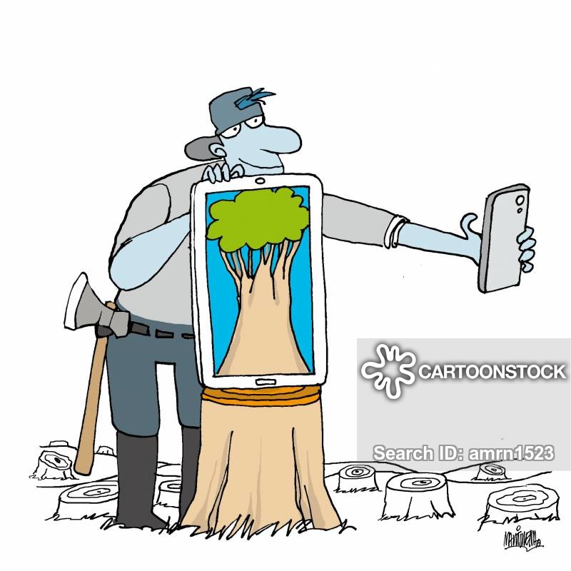 800x800 Clearing Forest Cartoons And Comics
