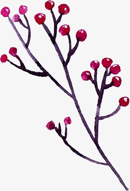 539x789 Drawing Plant, Plant Clipart, Forest, Watercolor Png Image