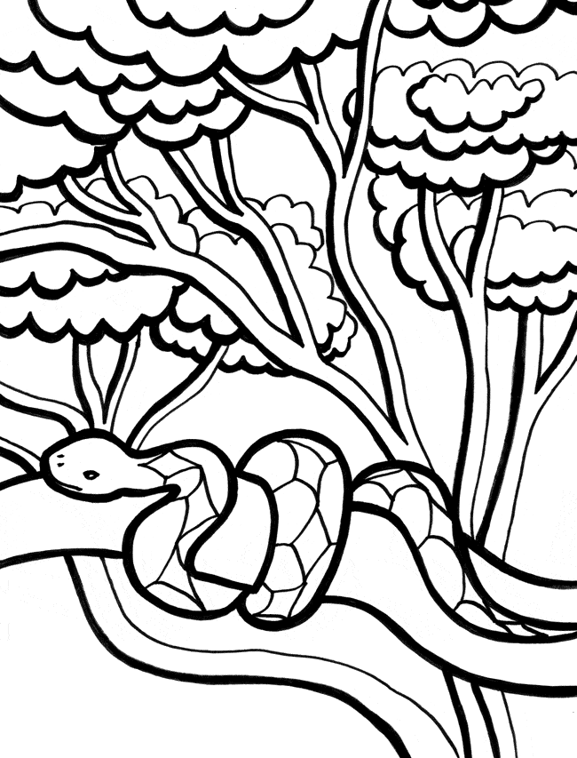 650x853 Forest Drawing Snake For Free Download