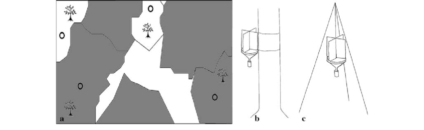 850x261 Schematic Drawing Illustrating The Study Design And The Traps