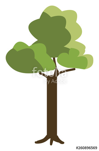 327x500 The Scenic View Of A Forest With Long Standing Trees Vector Color